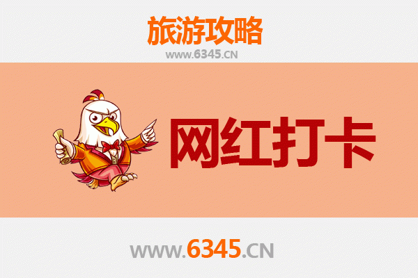郴州宜章网红打卡地全攻略：莽山云海与高椅岭秘境之旅